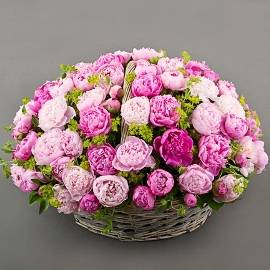 Fancy Basket of 77 Peonies