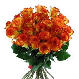 Yellow-Orange Roses