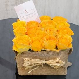 Orange Roses