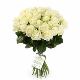 Bouquet «31 White Roses»